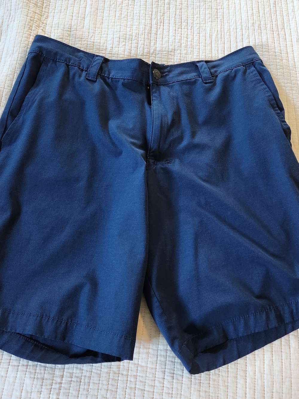 Banana Republic Blue Flat-Front Men's Shorts Size 34